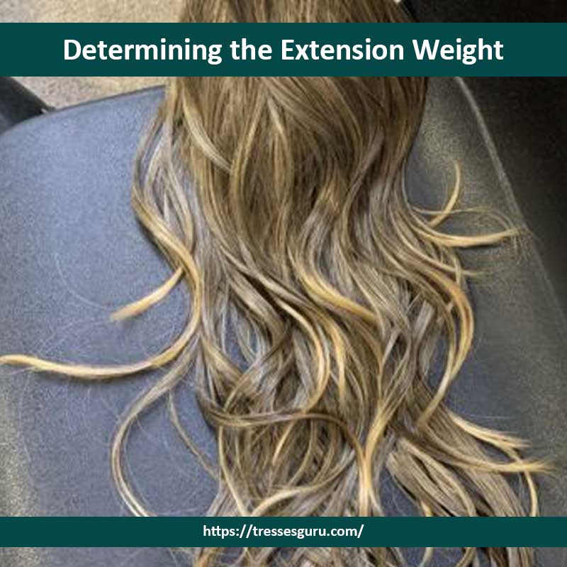 3. Determining the Extension Weight