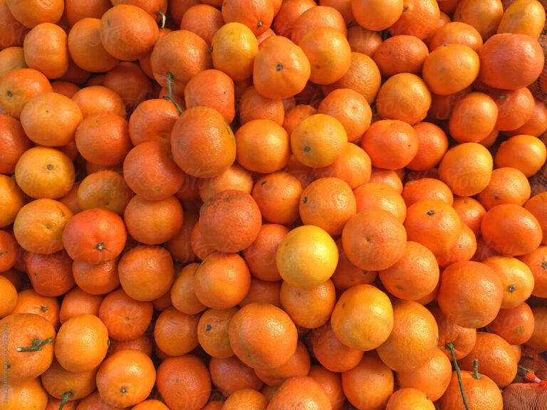 Clean Your Kidneys, Liver, and Lungs: The Whole Bacterium Flies Out of the Body with Mandarins!