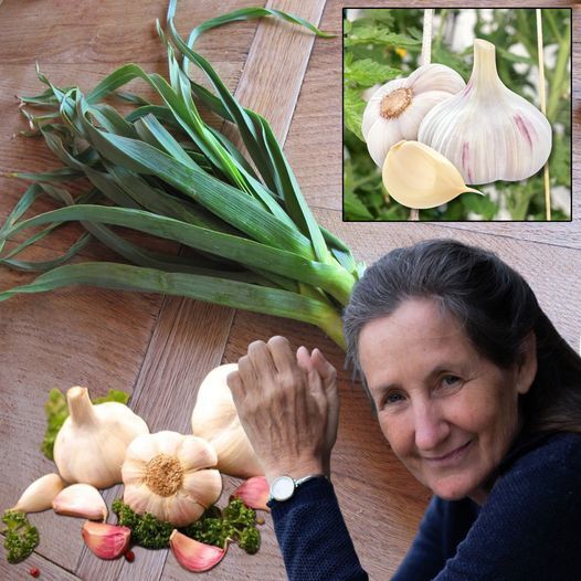 9 Secrets About Garlic You Didn’t Know: Discover the Hidden Powers of this Superfood