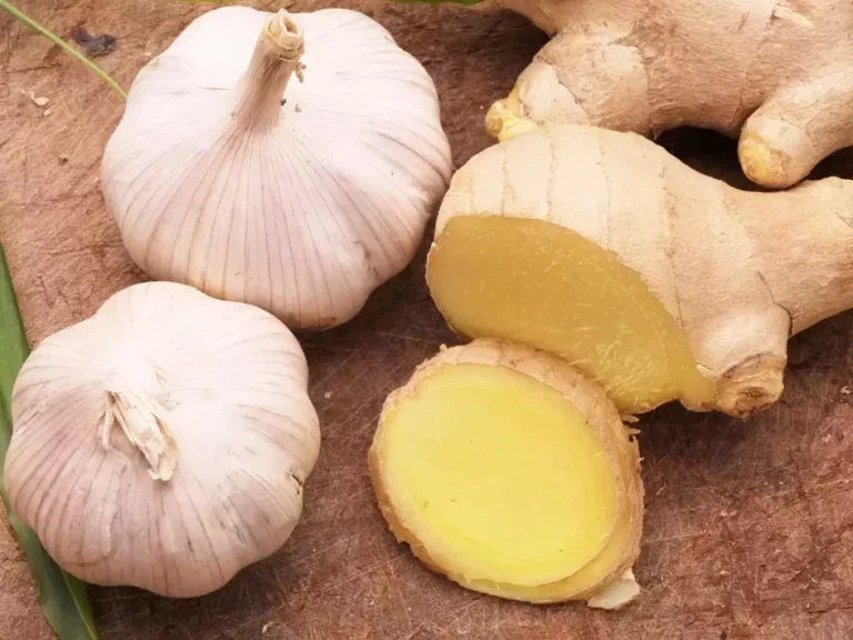 Apply This Mixture to Your Skin Before Bed and the Varicose Veins Will Disappear: Ginger and Garlic
