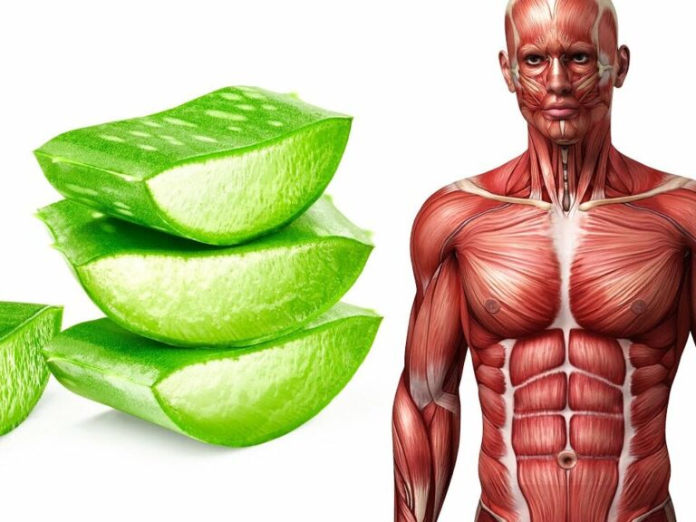 Drinking Raw Aloe Vera Juice Once a Week Will Do This to Your Body